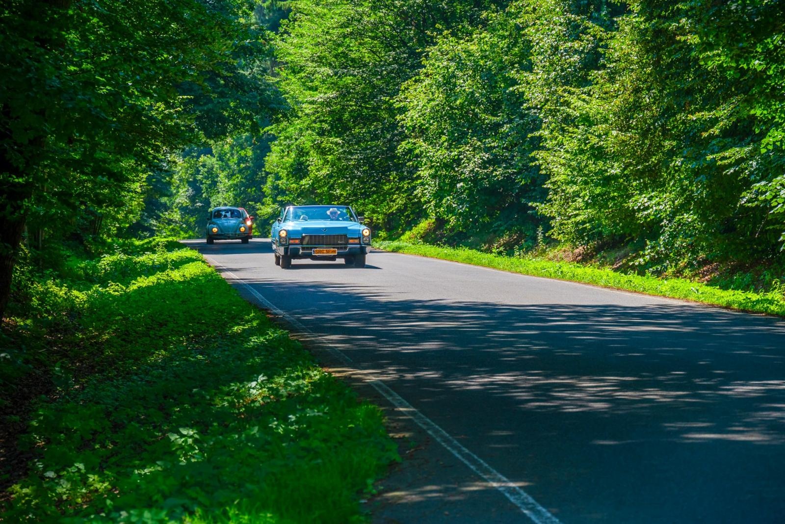 Zdjęcie w galerii na portalu naszraciborz.pl: Oldtimery na zamku w Tworkowie [FOTO] wiadomości z regionu