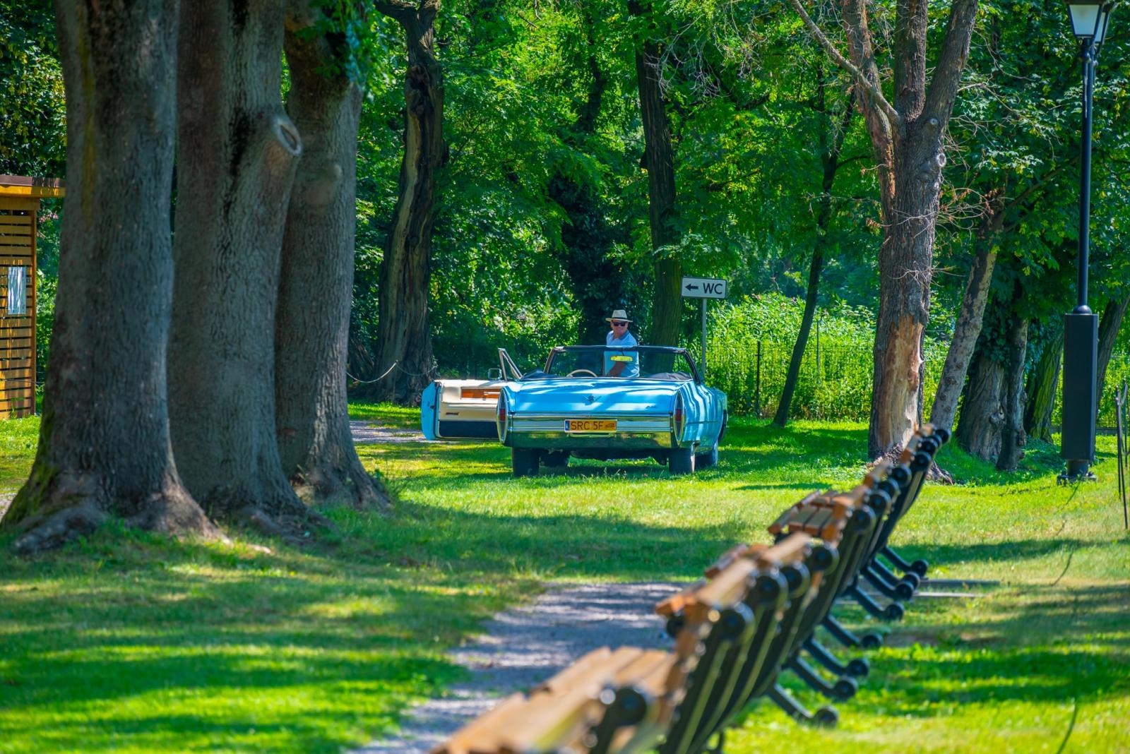 Zdjęcie w galerii na portalu naszraciborz.pl: Oldtimery na zamku w Tworkowie [FOTO] wiadomości z regionu