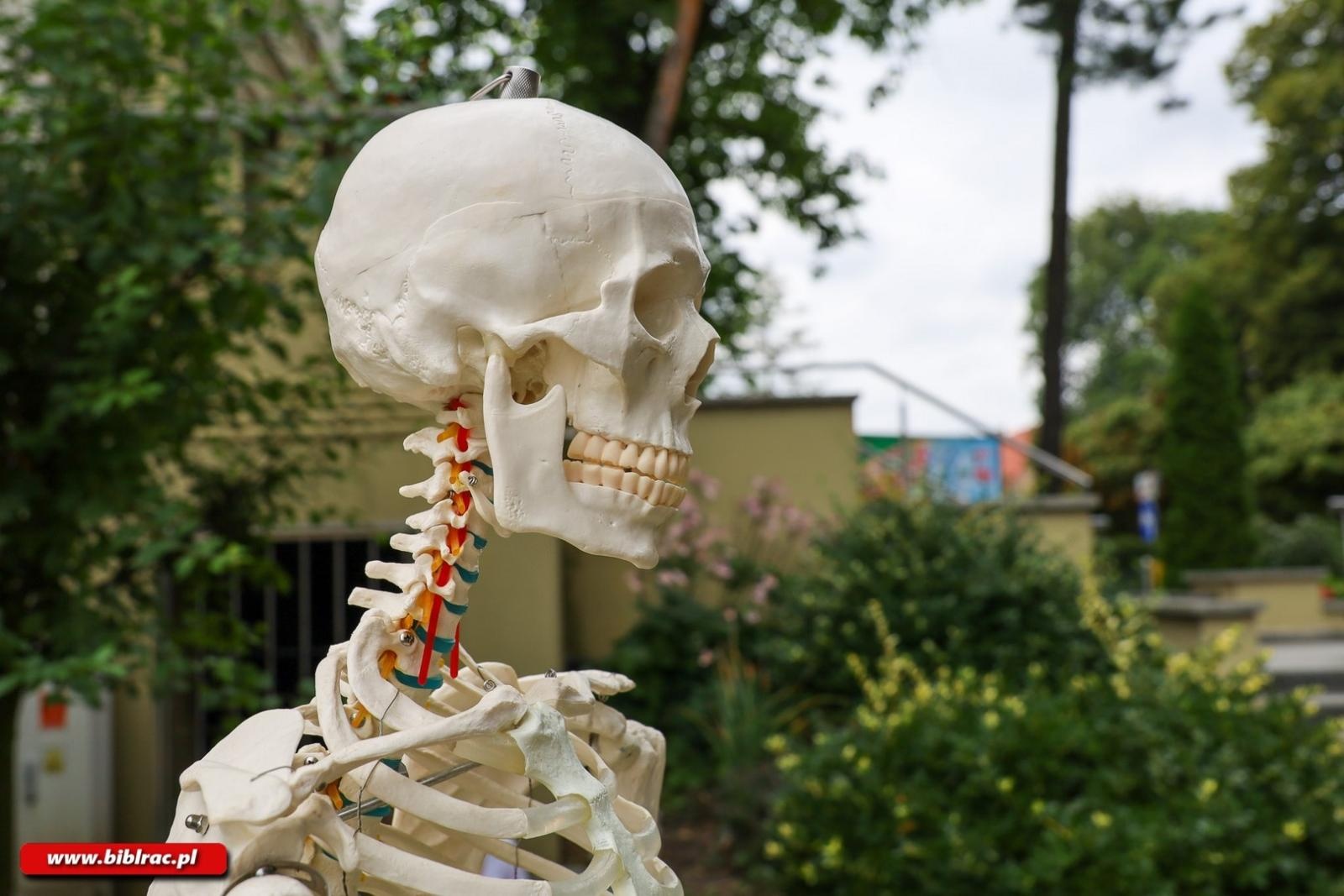 Zdjęcie w galerii na portalu naszraciborz.pl: Wakacyjna joga w raciborskiej Bibliotece. Zacznijmy od oddechu wiadomości z regionu