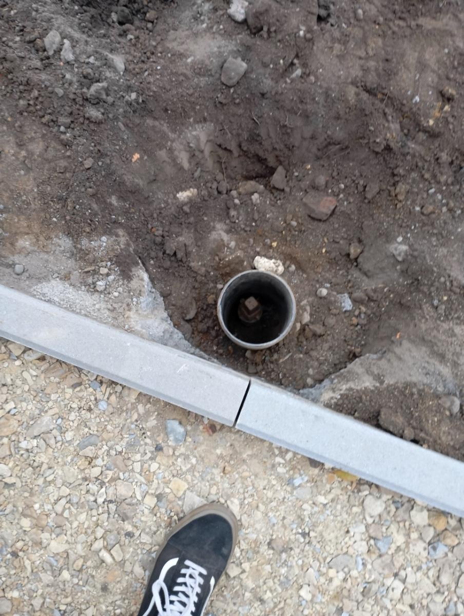 Zdjęcie w galerii na portalu naszraciborz.pl: Jagoda Meller uratowała jeża na ulicy Michejdy wiadomości z regionu