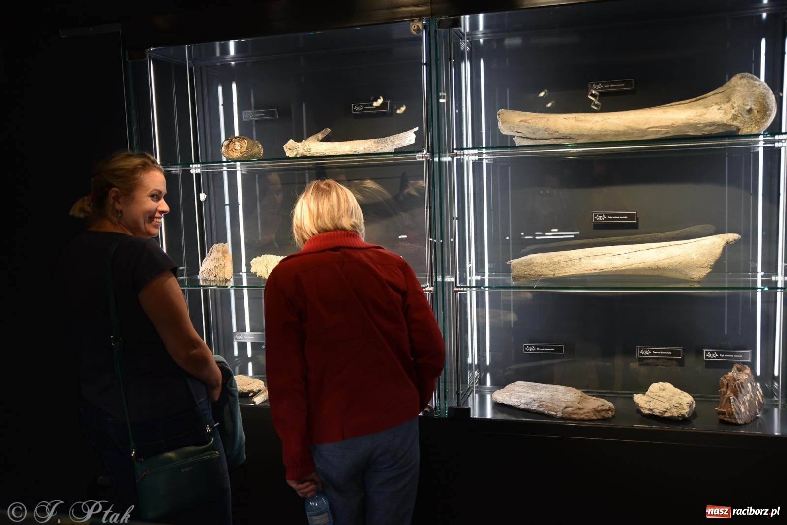 Zdjęcie w galerii na portalu naszraciborz.pl: Nocne zwiedzanie zamku w Raciborzu z wejściem do podziemi starej baszty wiadomości z regionu