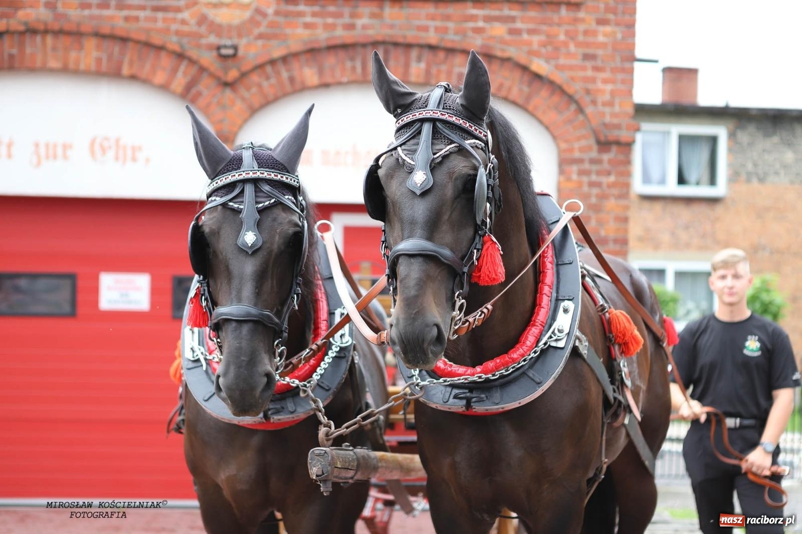 Zdjęcie w galerii na portalu naszraciborz.pl: Tworków z pucharem wójta Krzyżanowic na zawodach w Bieńkowicach wiadomości z regionu