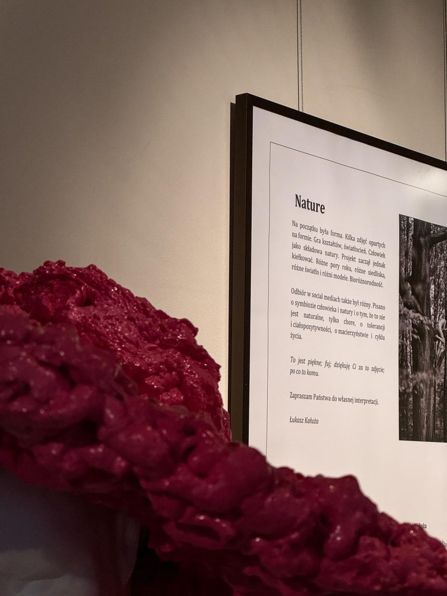 Zdjęcie w galerii na portalu naszraciborz.pl: Druga Noc Kultury, czyli zda[e]rzenia niepowtarzalne z RCK na bis! wiadomości z regionu