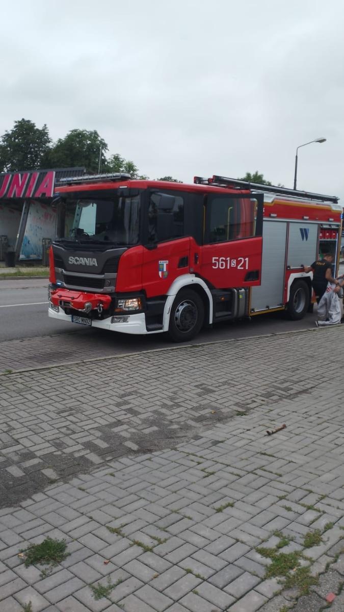 Zdjęcie w galerii na portalu naszraciborz.pl: Raport 998. Owady zdominowały strażacką służbę wiadomości z regionu