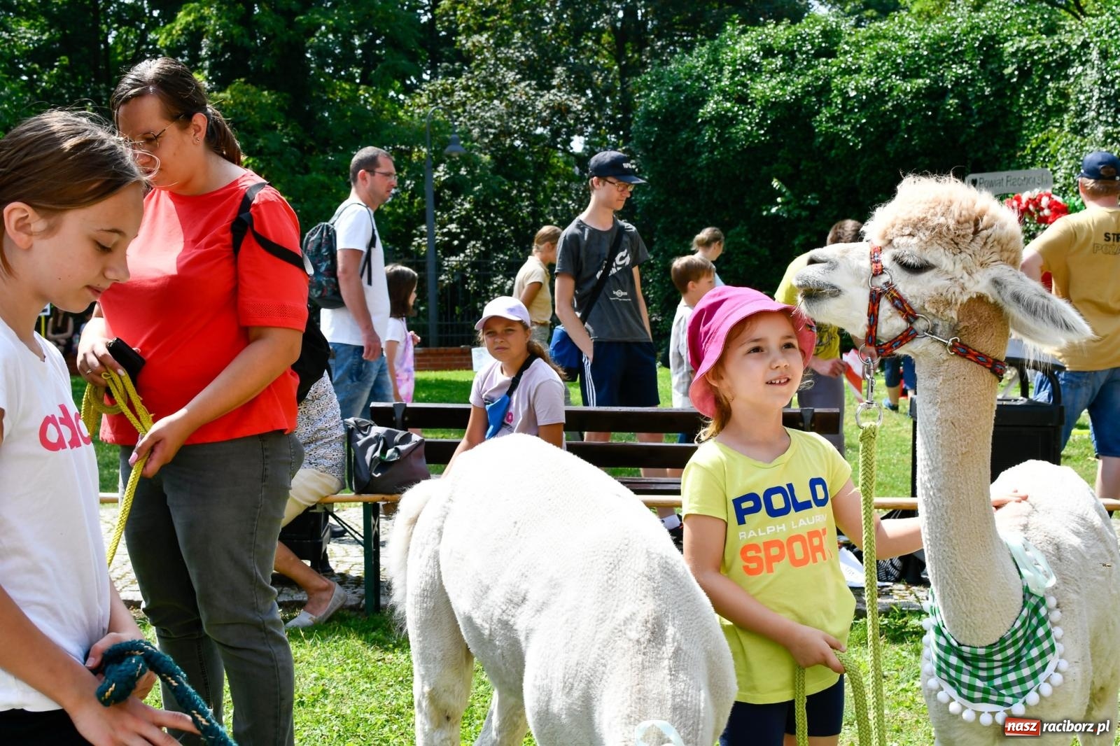 Zdjęcie w galerii na portalu naszraciborz.pl: Hobby horse i konne przejażdżki na raciborskim zamku: Pierwsza odsłona akcji Wakacje w Powiecie wiadomości z regionu