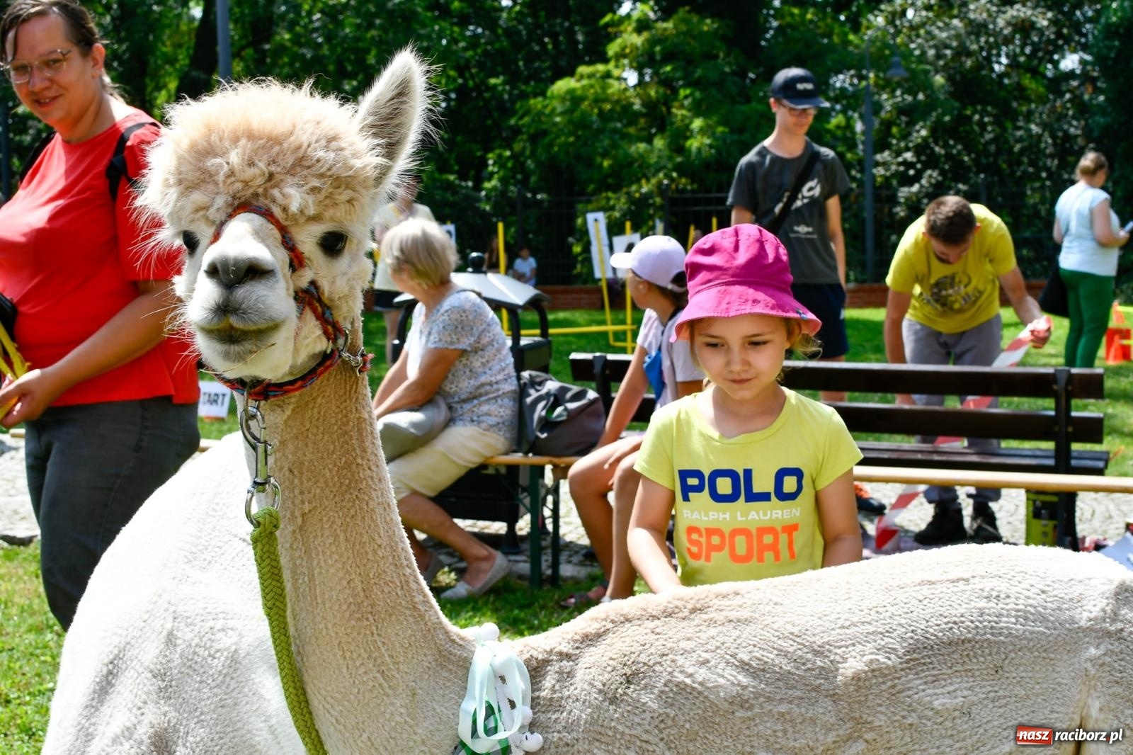 Zdjęcie w galerii na portalu naszraciborz.pl: Hobby horse i konne przejażdżki na raciborskim zamku: Pierwsza odsłona akcji Wakacje w Powiecie wiadomości z regionu