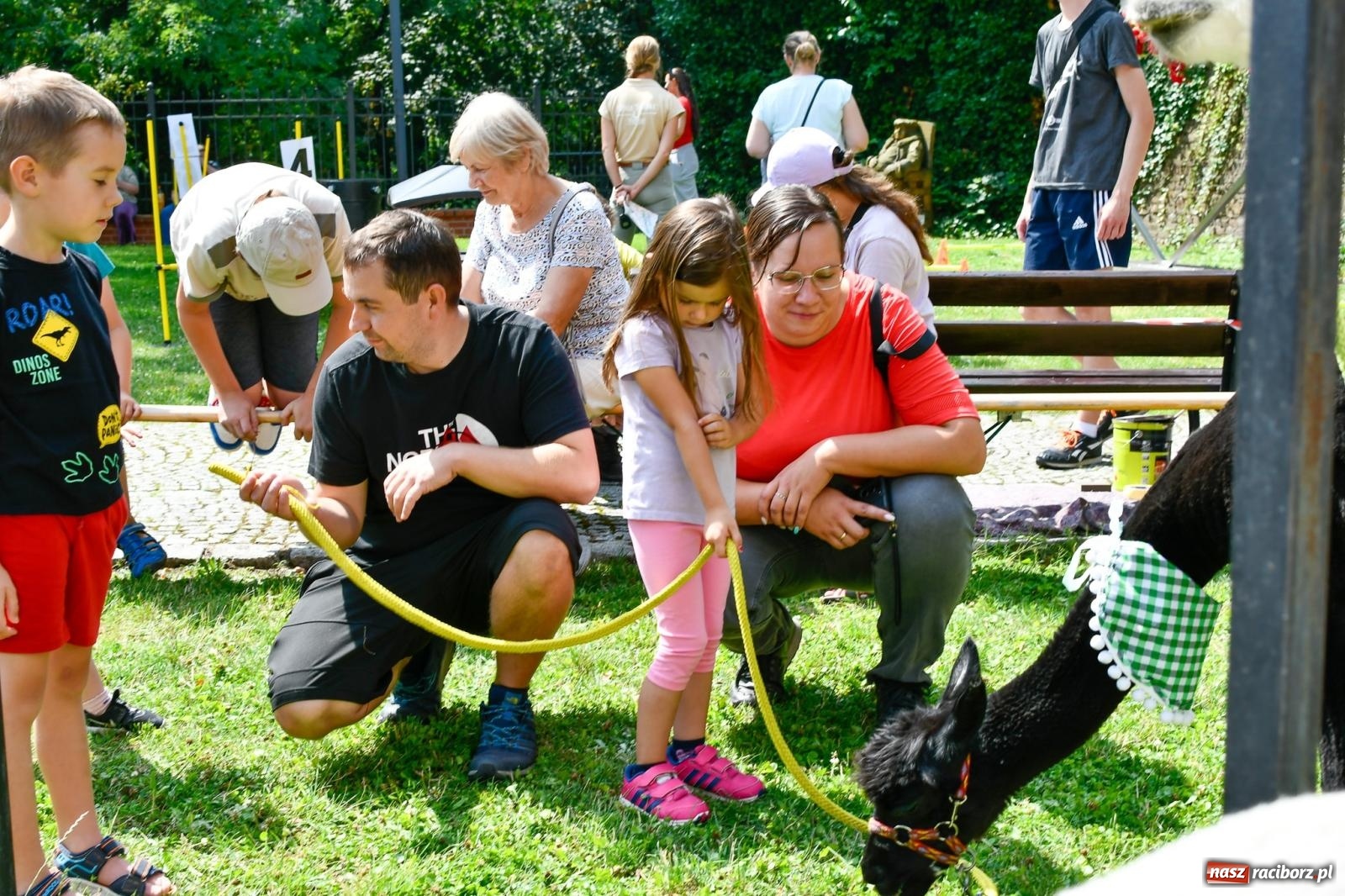 Zdjęcie w galerii na portalu naszraciborz.pl: Hobby horse i konne przejażdżki na raciborskim zamku: Pierwsza odsłona akcji Wakacje w Powiecie wiadomości z regionu