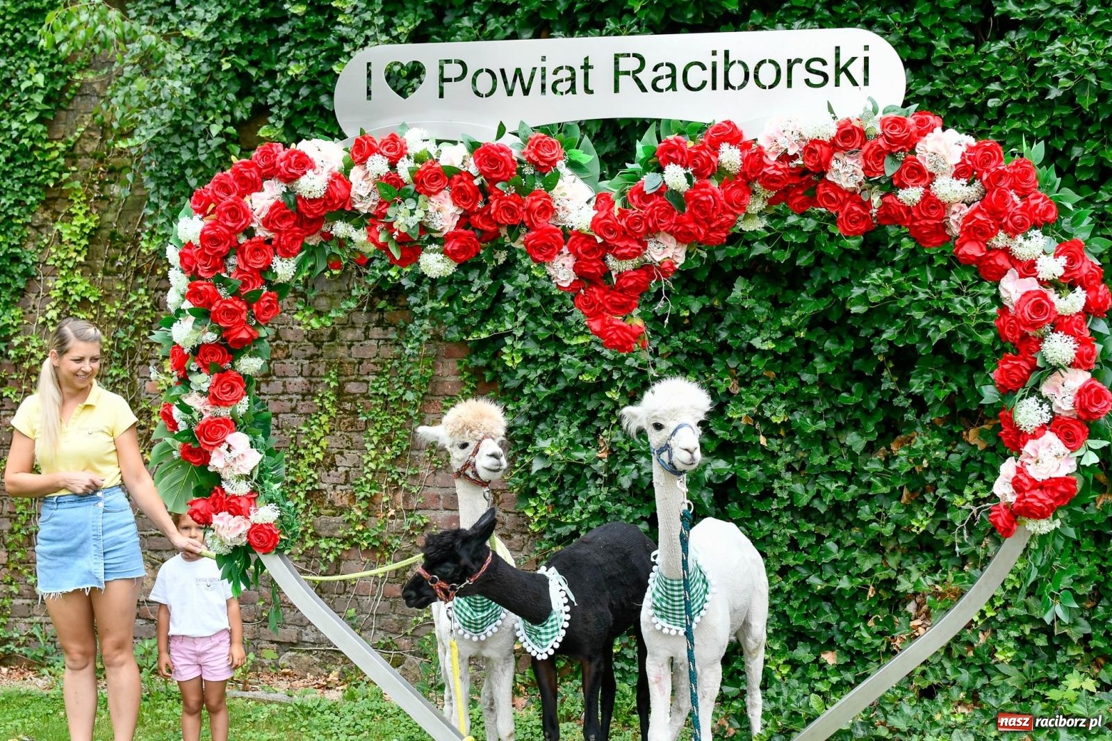 Zdjęcie w galerii na portalu naszraciborz.pl: Hobby horse i konne przejażdżki na raciborskim zamku: Pierwsza odsłona akcji Wakacje w Powiecie wiadomości z regionu