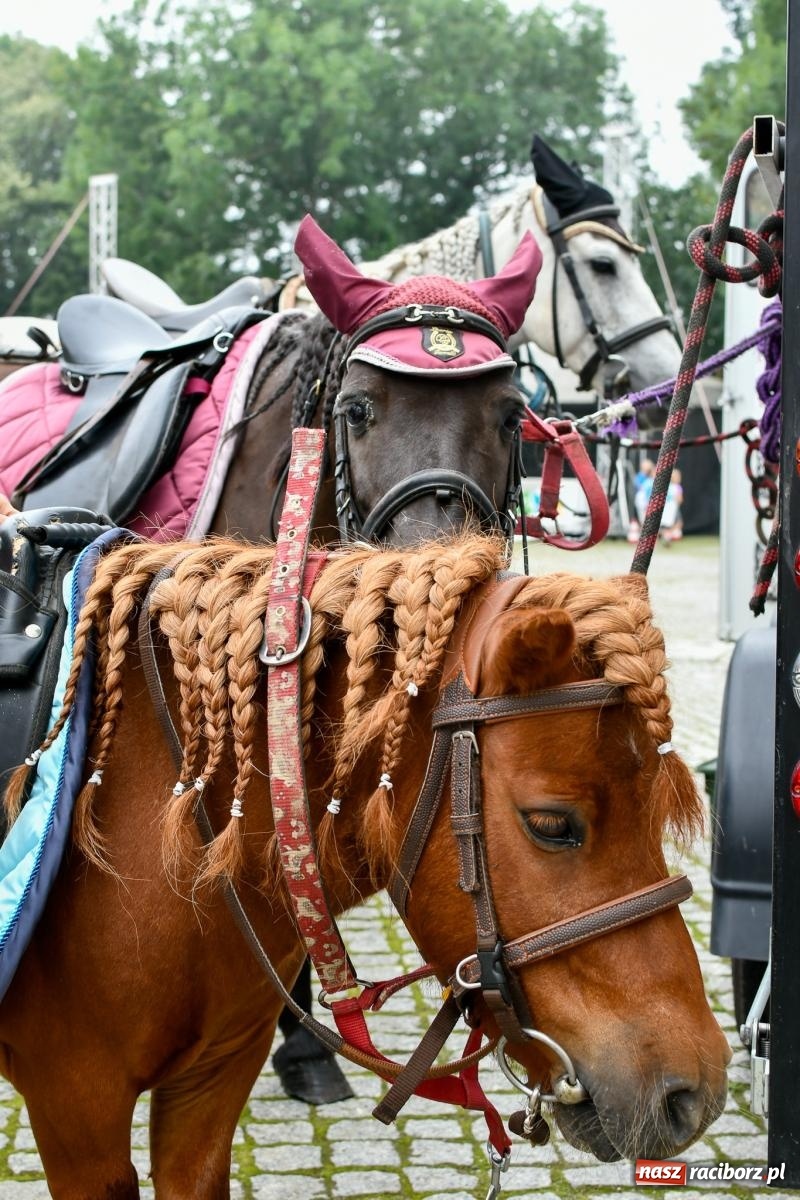 Zdjęcie w galerii na portalu naszraciborz.pl: Hobby horse i konne przejażdżki na raciborskim zamku: Pierwsza odsłona akcji Wakacje w Powiecie wiadomości z regionu
