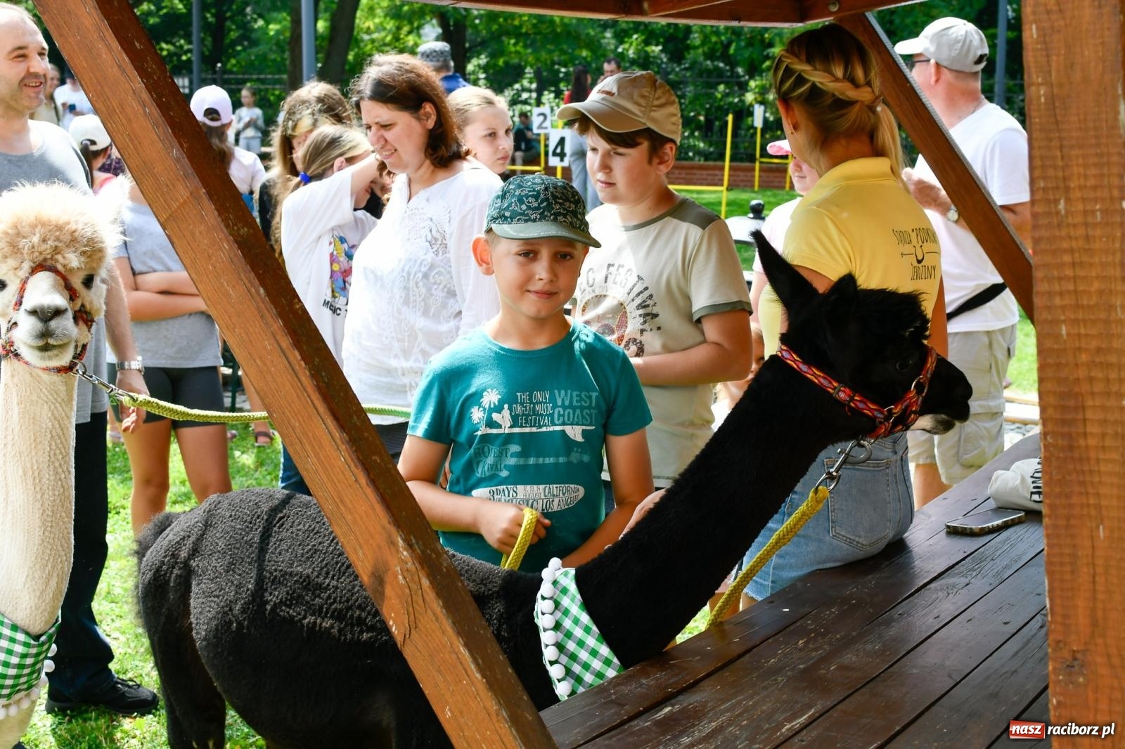 Zdjęcie w galerii na portalu naszraciborz.pl: Hobby horse i konne przejażdżki na raciborskim zamku: Pierwsza odsłona akcji Wakacje w Powiecie wiadomości z regionu