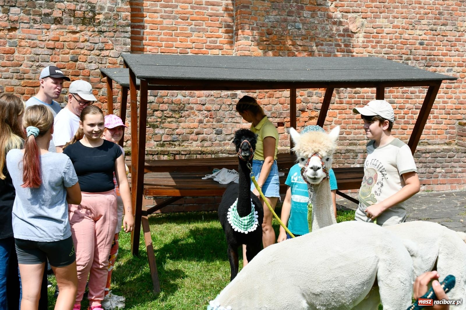 Zdjęcie w galerii na portalu naszraciborz.pl: Hobby horse i konne przejażdżki na raciborskim zamku: Pierwsza odsłona akcji Wakacje w Powiecie wiadomości z regionu