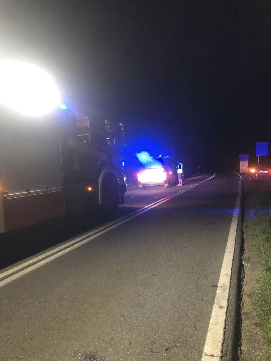 Zdjęcie w galerii na portalu naszraciborz.pl: Raport 998. Owady, plama, pożar i kolizja z dzikiem wiadomości z regionu