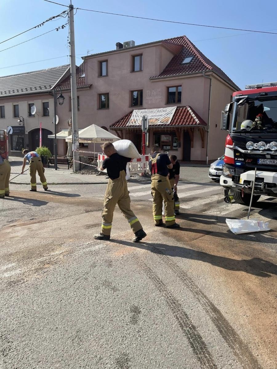 Zdjęcie w galerii na portalu naszraciborz.pl: Raport 998. Owady, plama, pożar i kolizja z dzikiem wiadomości z regionu