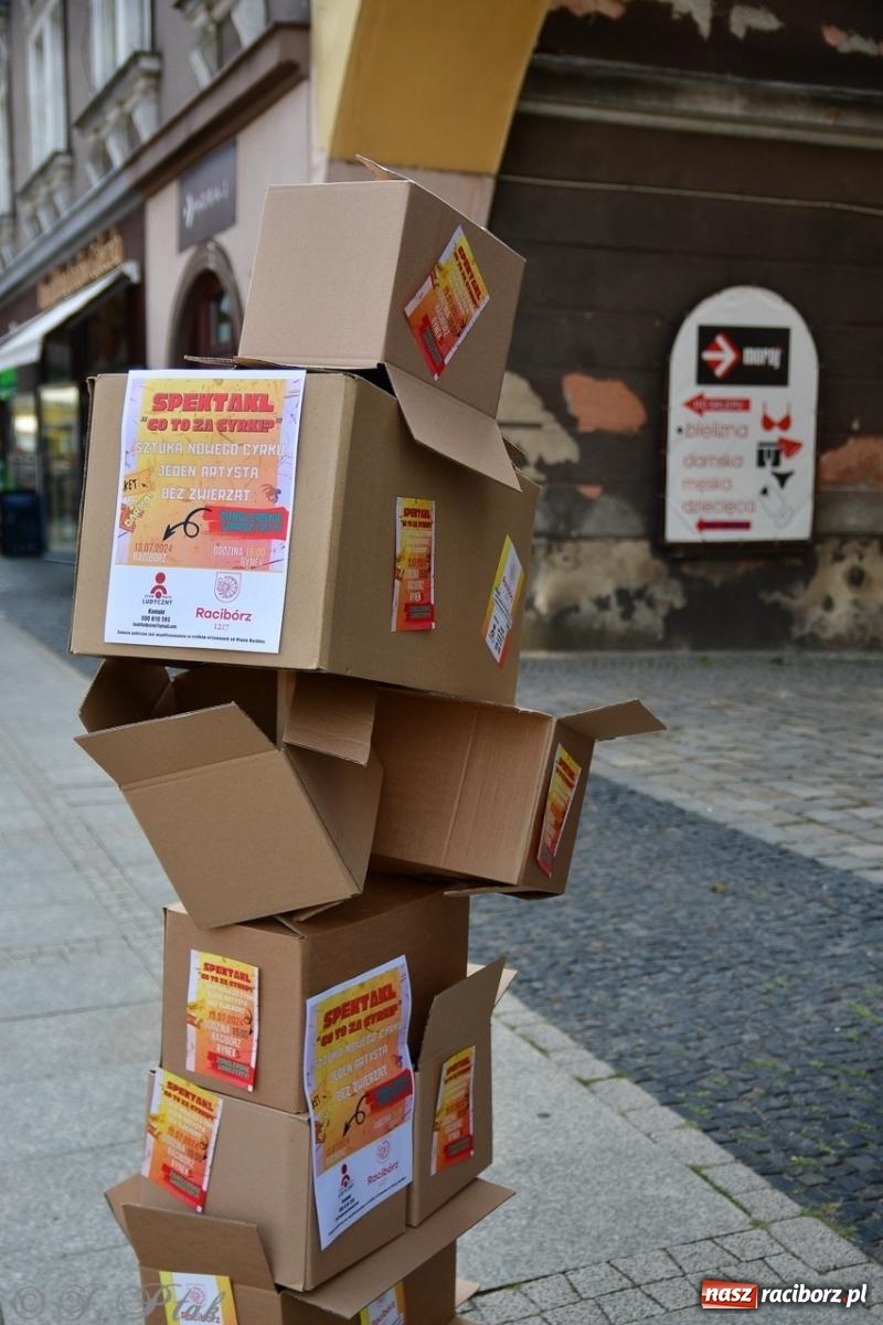 Zdjęcie w galerii na portalu naszraciborz.pl: Co to za cyrki? Spektakl na raciborskim Rynku wiadomości z regionu