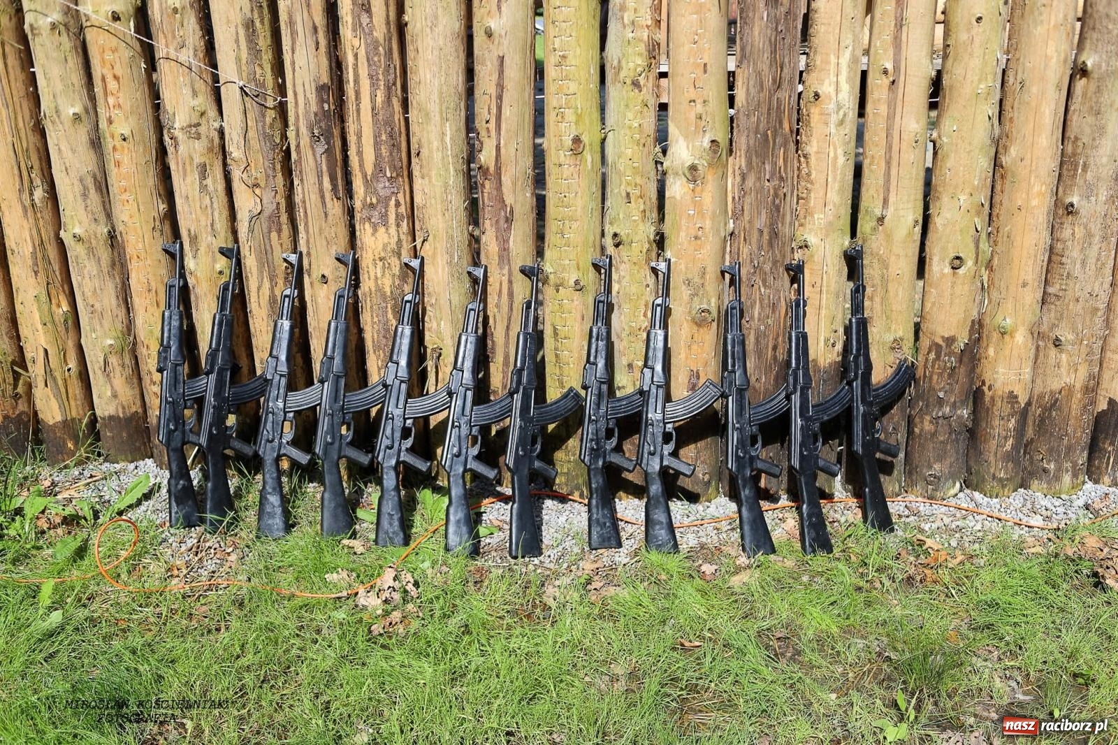 Zdjęcie w galerii na portalu naszraciborz.pl: Przetrwać w Arboretum. Raciborski Bieg Zwiadowcy [FOTO i WIDEO] wiadomości z regionu