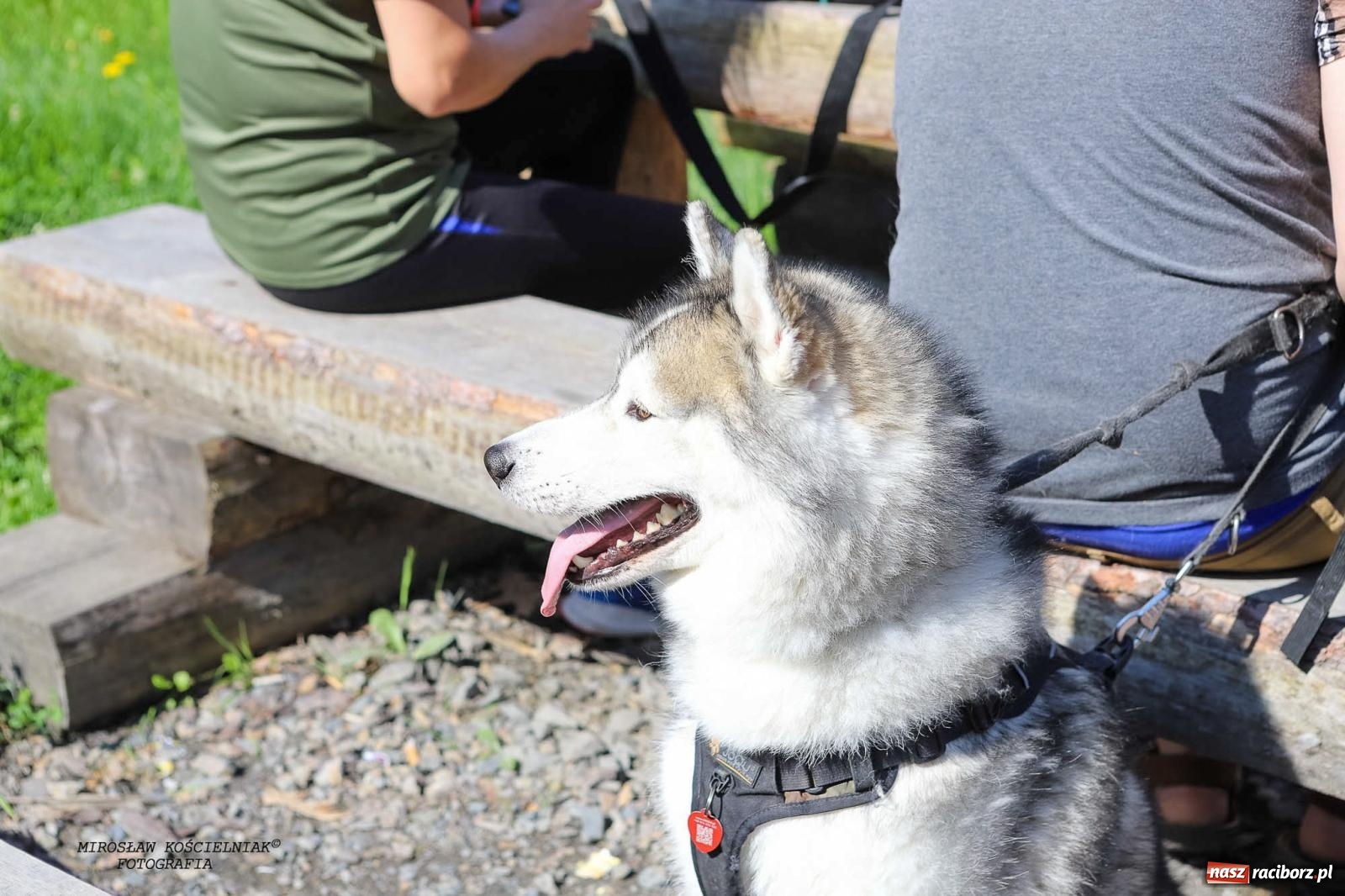 Zdjęcie w galerii na portalu naszraciborz.pl: Przetrwać w Arboretum. Raciborski Bieg Zwiadowcy [FOTO i WIDEO] wiadomości z regionu