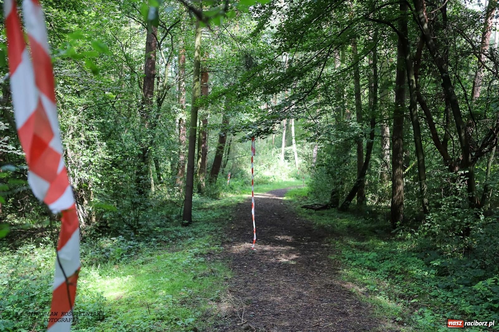 Zdjęcie w galerii na portalu naszraciborz.pl: Przetrwać w Arboretum. Raciborski Bieg Zwiadowcy [FOTO i WIDEO] wiadomości z regionu