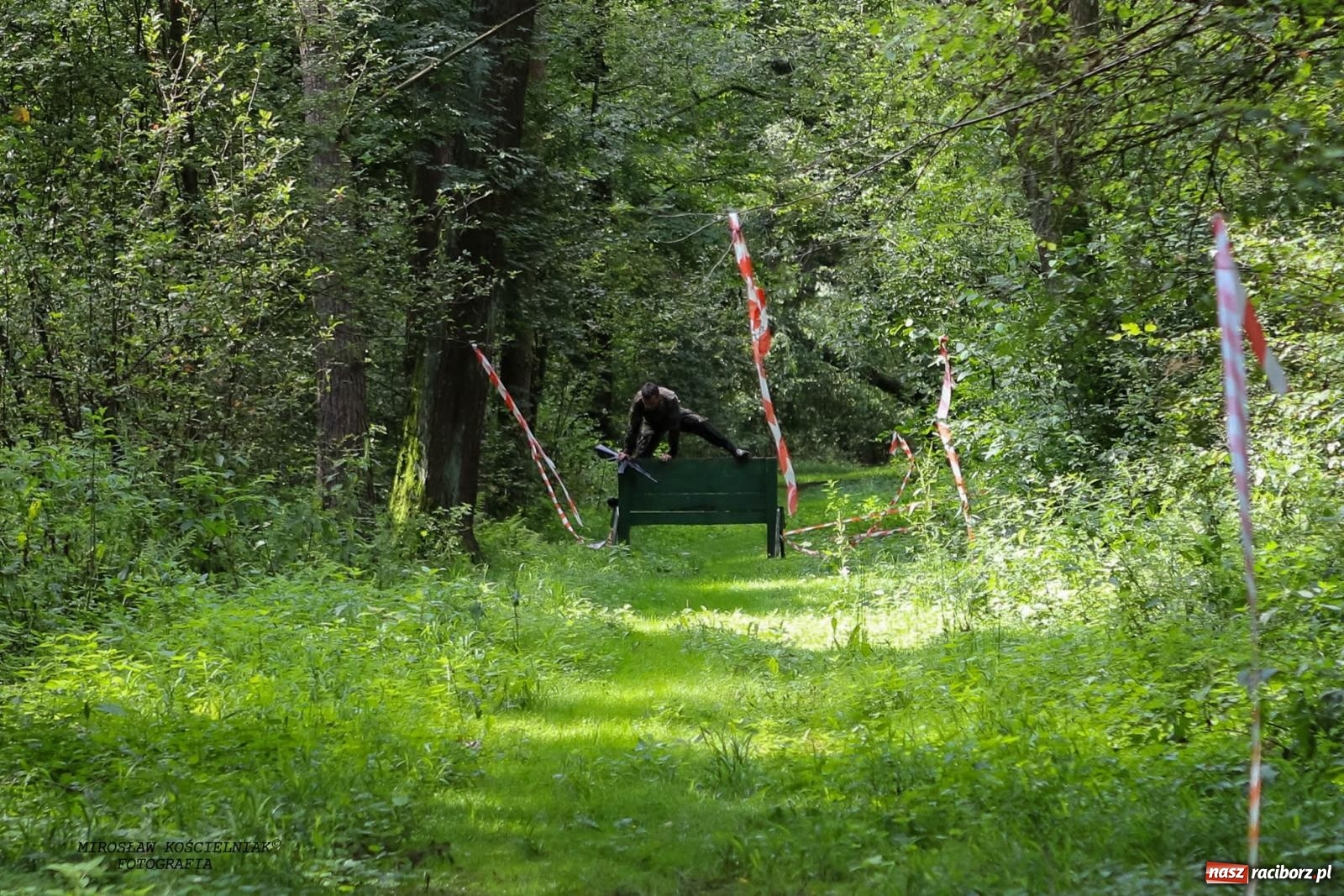 Zdjęcie w galerii na portalu naszraciborz.pl: Przetrwać w Arboretum. Raciborski Bieg Zwiadowcy [FOTO i WIDEO] wiadomości z regionu