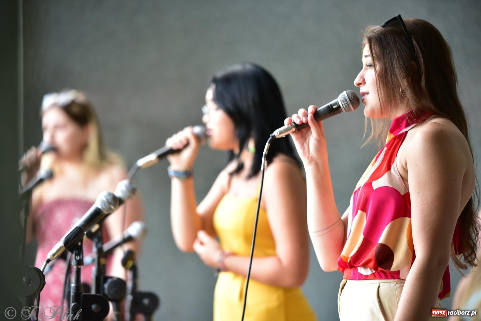 Zdjęcie w galerii na portalu naszraciborz.pl: The Beatles Forever - koncert letni na podsumowanie warsztatów wokalnych w parku im. Miasta Roth [FOTO i WIDEO] wiadomości z regionu