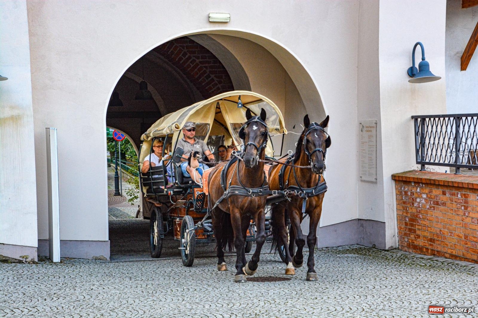 Zdjęcie w galerii na portalu naszraciborz.pl: Przejażdżki bryczką hitem wakacji w siodle na zamku [FOTO i WIDEO] wiadomości z regionu