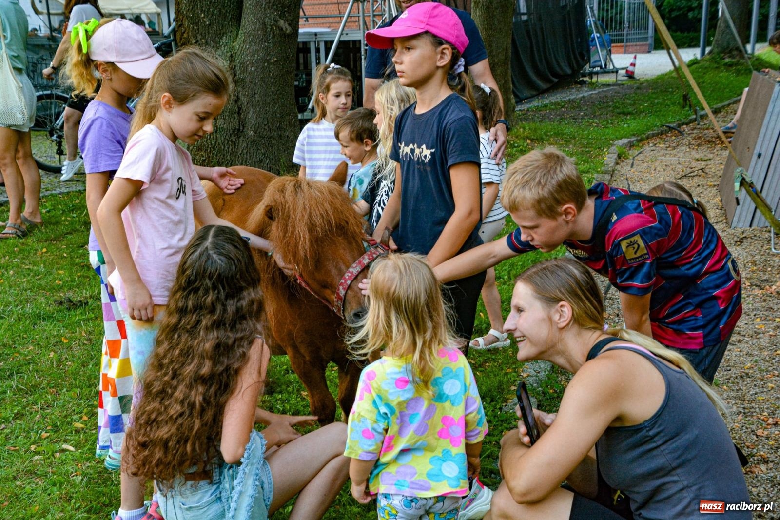 Zdjęcie w galerii na portalu naszraciborz.pl: Przejażdżki bryczką hitem wakacji w siodle na zamku [FOTO i WIDEO] wiadomości z regionu