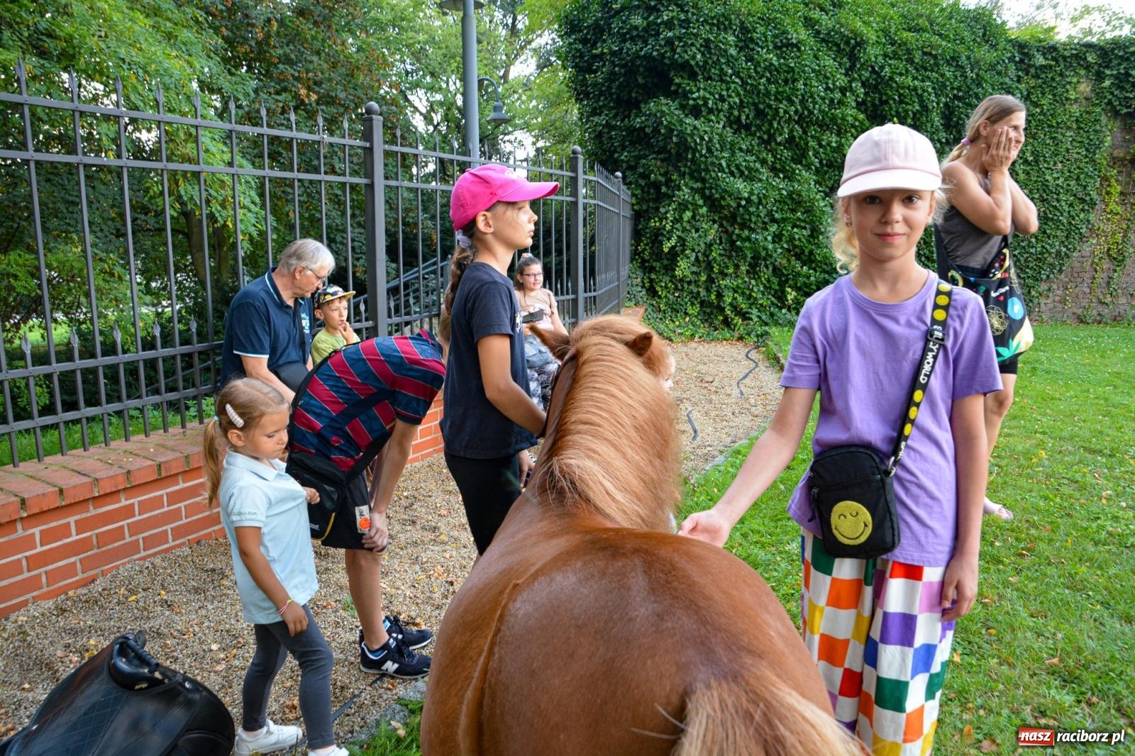Zdjęcie w galerii na portalu naszraciborz.pl: Przejażdżki bryczką hitem wakacji w siodle na zamku [FOTO i WIDEO] wiadomości z regionu