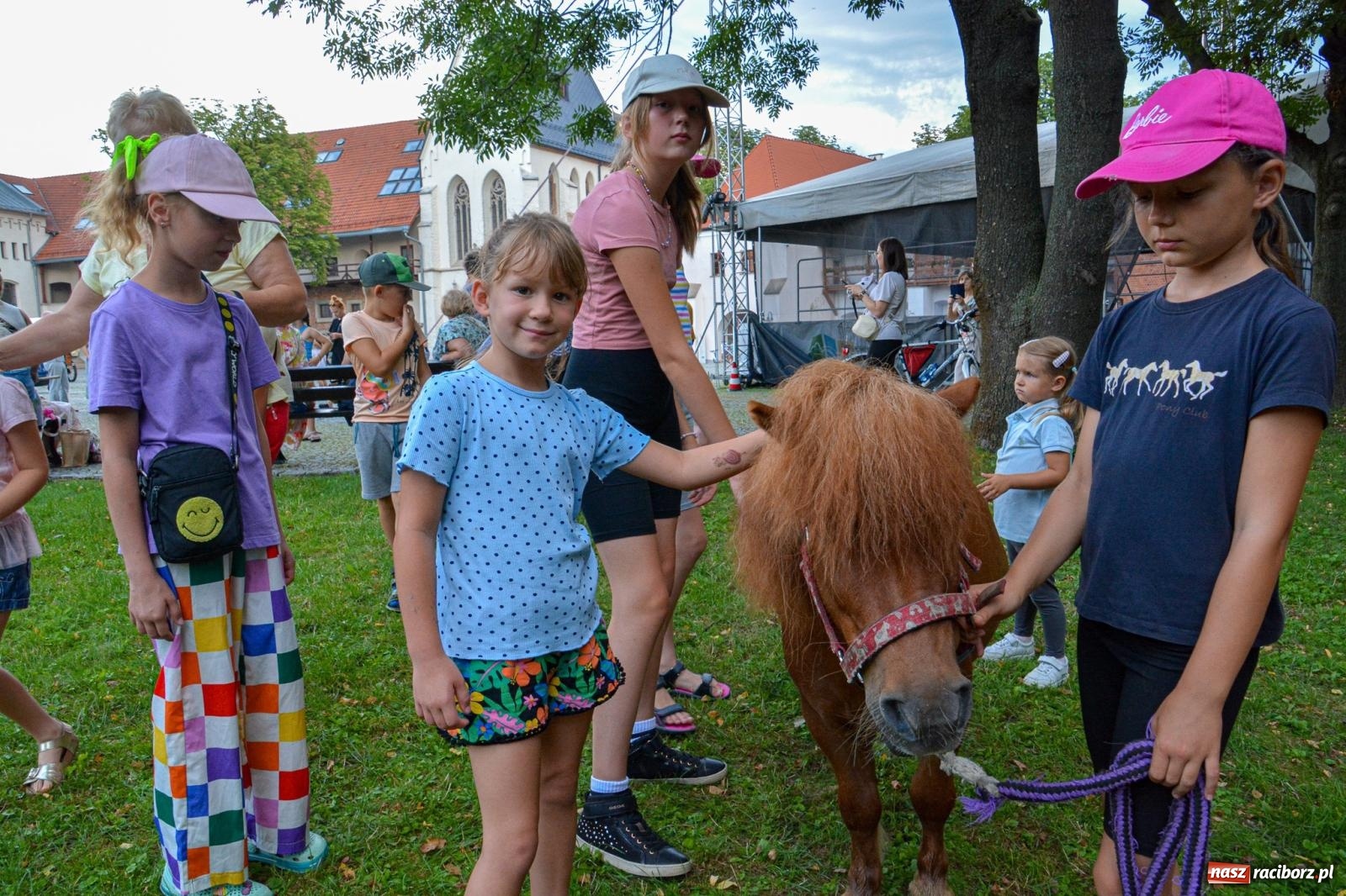 Zdjęcie w galerii na portalu naszraciborz.pl: Przejażdżki bryczką hitem wakacji w siodle na zamku [FOTO i WIDEO] wiadomości z regionu