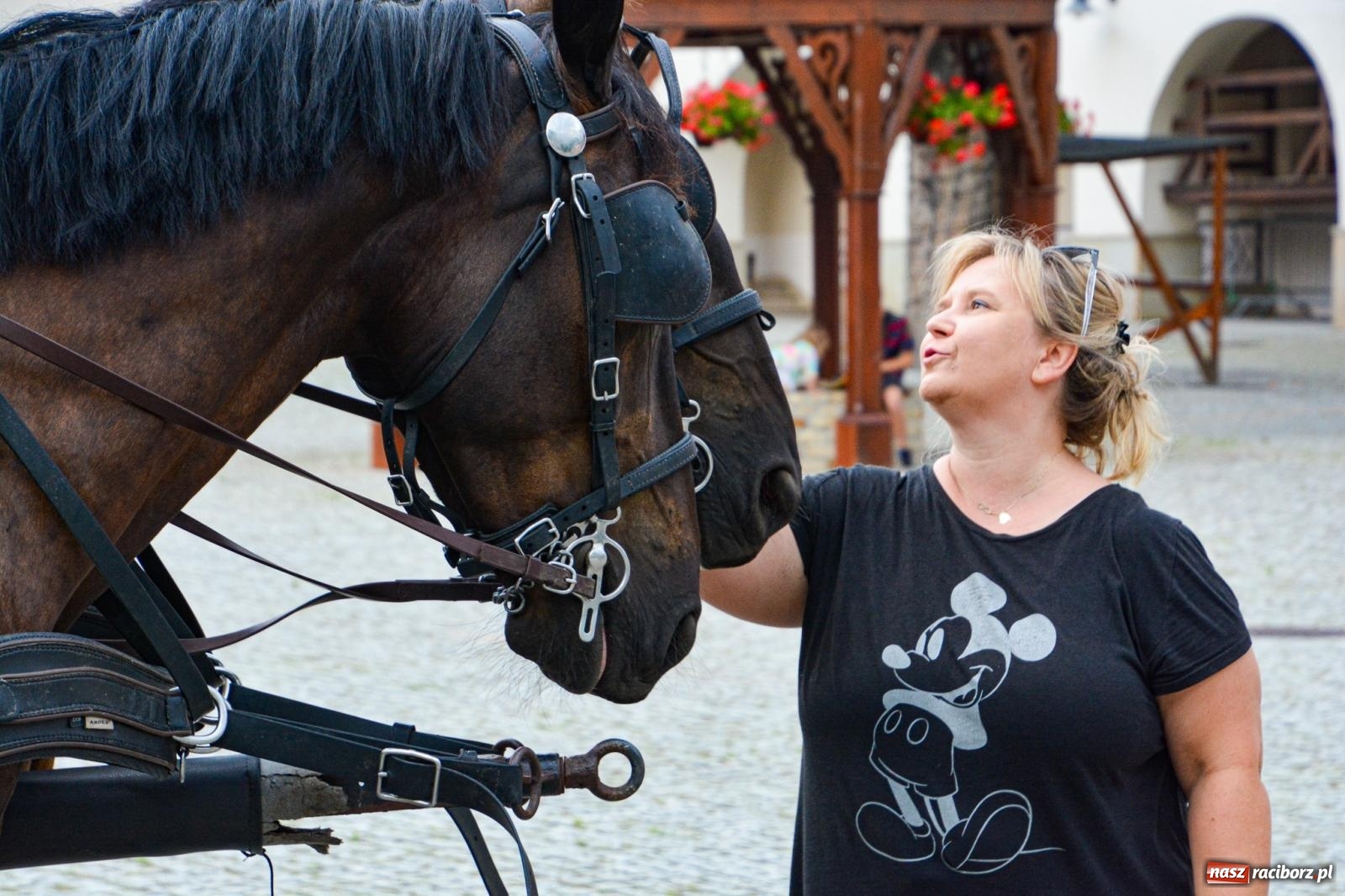 Zdjęcie w galerii na portalu naszraciborz.pl: Przejażdżki bryczką hitem wakacji w siodle na zamku [FOTO i WIDEO] wiadomości z regionu