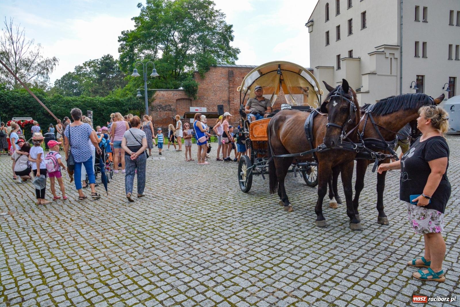 Zdjęcie w galerii na portalu naszraciborz.pl: Przejażdżki bryczką hitem wakacji w siodle na zamku [FOTO i WIDEO] wiadomości z regionu