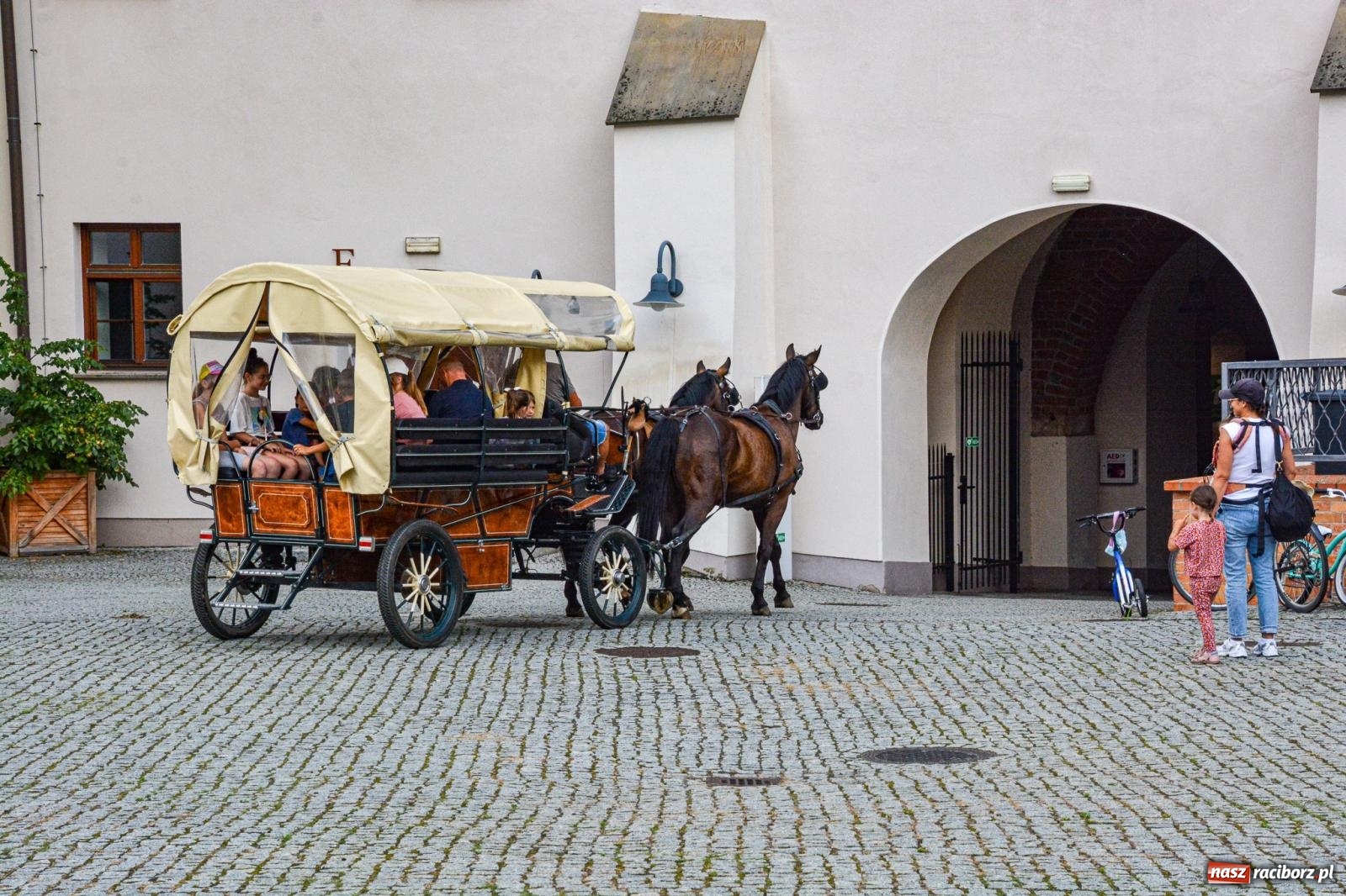 Zdjęcie w galerii na portalu naszraciborz.pl: Przejażdżki bryczką hitem wakacji w siodle na zamku [FOTO i WIDEO] wiadomości z regionu