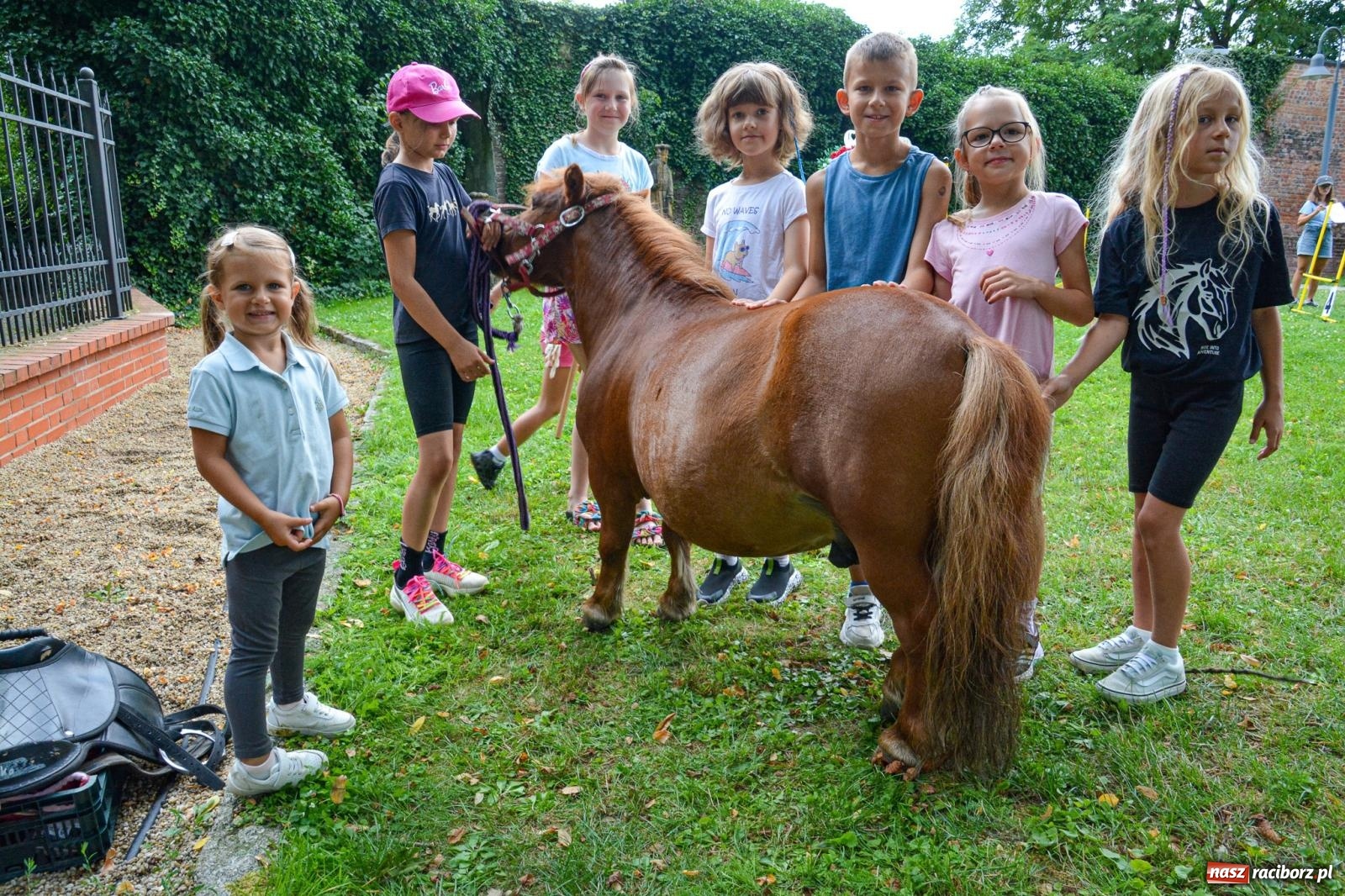 Zdjęcie w galerii na portalu naszraciborz.pl: Przejażdżki bryczką hitem wakacji w siodle na zamku [FOTO i WIDEO] wiadomości z regionu