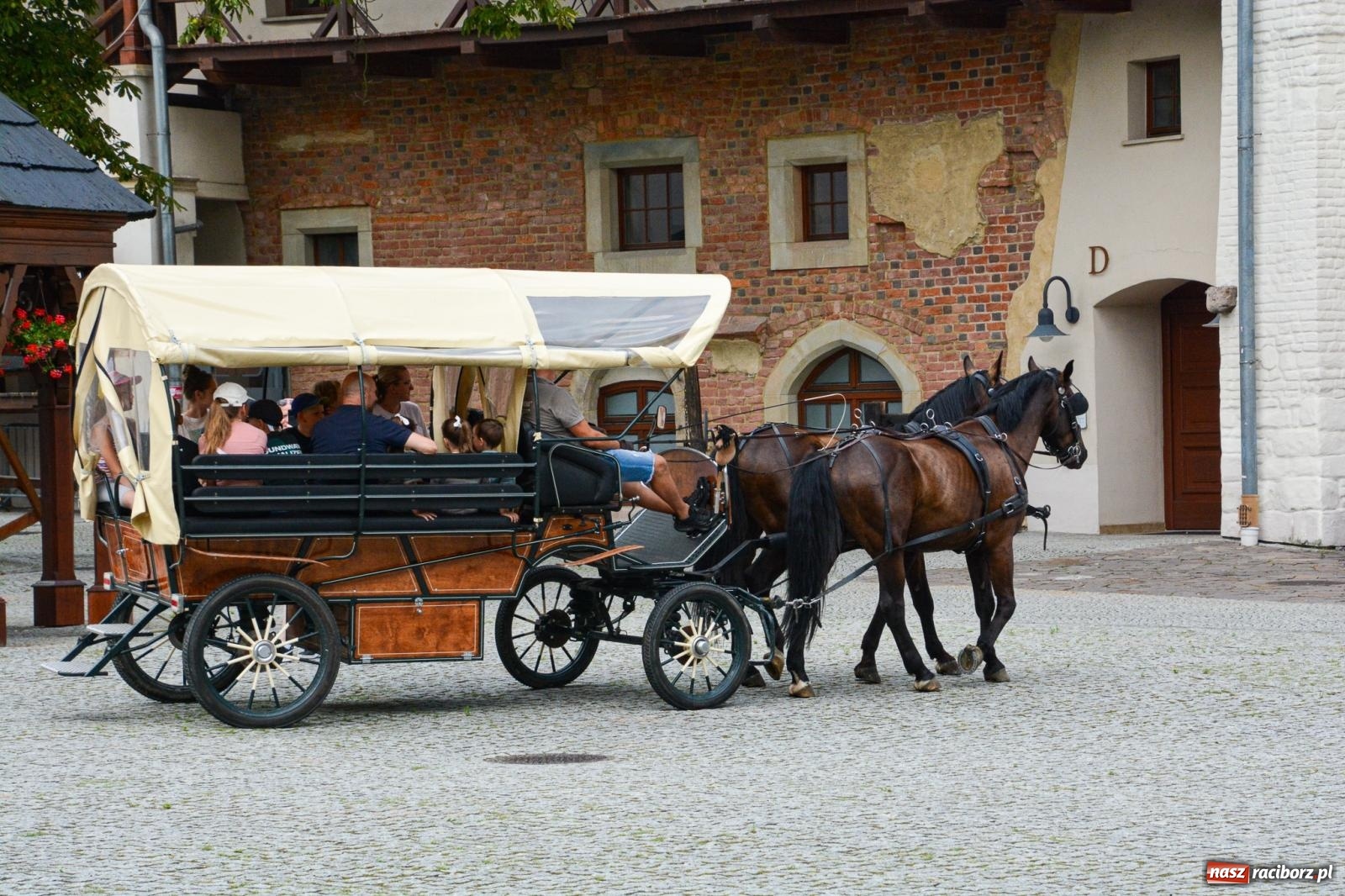 Zdjęcie w galerii na portalu naszraciborz.pl: Przejażdżki bryczką hitem wakacji w siodle na zamku [FOTO i WIDEO] wiadomości z regionu