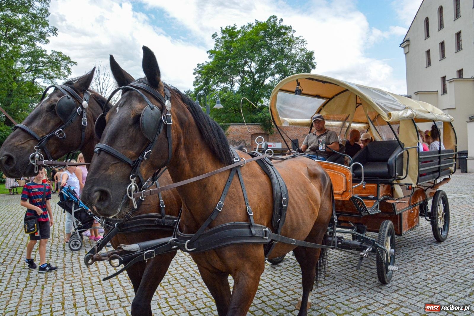 Zdjęcie w galerii na portalu naszraciborz.pl: Przejażdżki bryczką hitem wakacji w siodle na zamku [FOTO i WIDEO] wiadomości z regionu