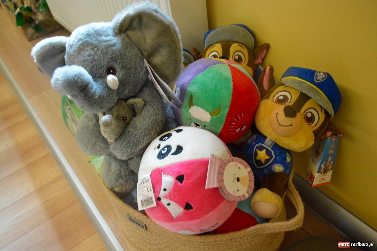 Zdjęcie w galerii na portalu naszraciborz.pl: Raciborska policja świętuje w Pietrowicach Wielkich. Wręczono awanse i odznaczenia [FOTO i WIDEO] wiadomości z regionu