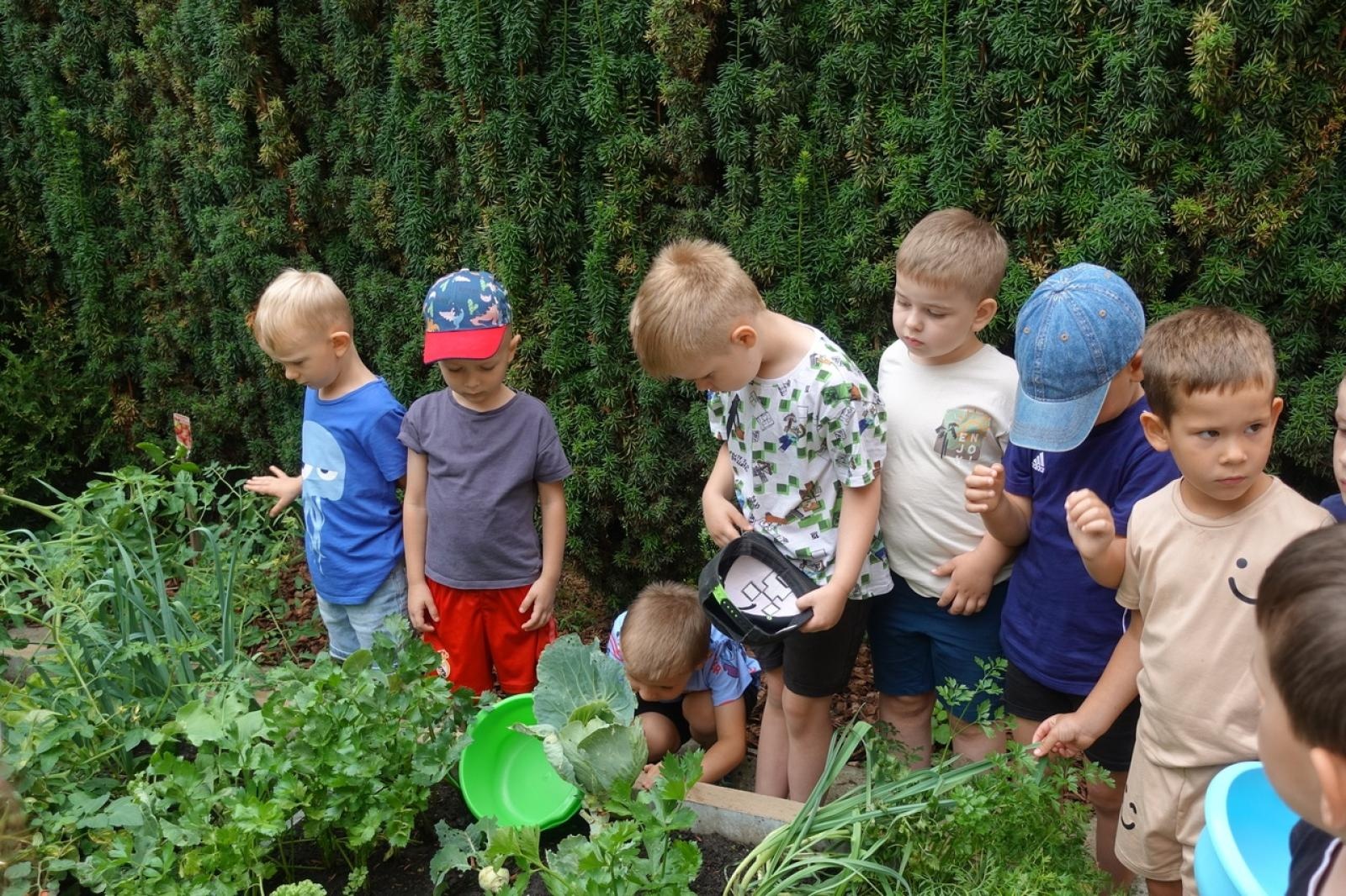 Zdjęcie w galerii na portalu naszraciborz.pl: Mali ogrodnicy dbają o swoje warzywniki i delektują się pierwszymi zbiorami wiadomości z regionu