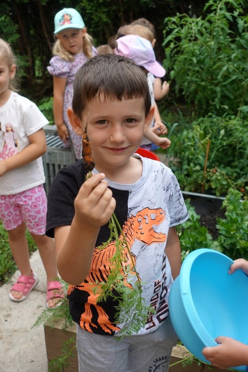Zdjęcie w galerii na portalu naszraciborz.pl: Mali ogrodnicy dbają o swoje warzywniki i delektują się pierwszymi zbiorami wiadomości z regionu