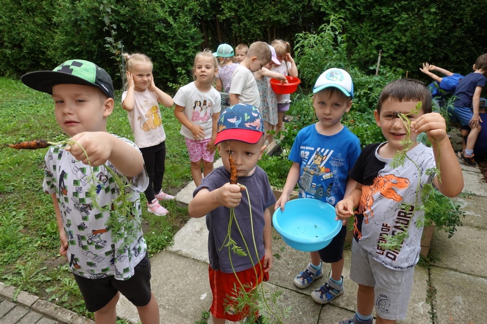 Zdjęcie w galerii na portalu naszraciborz.pl: Mali ogrodnicy dbają o swoje warzywniki i delektują się pierwszymi zbiorami wiadomości z regionu