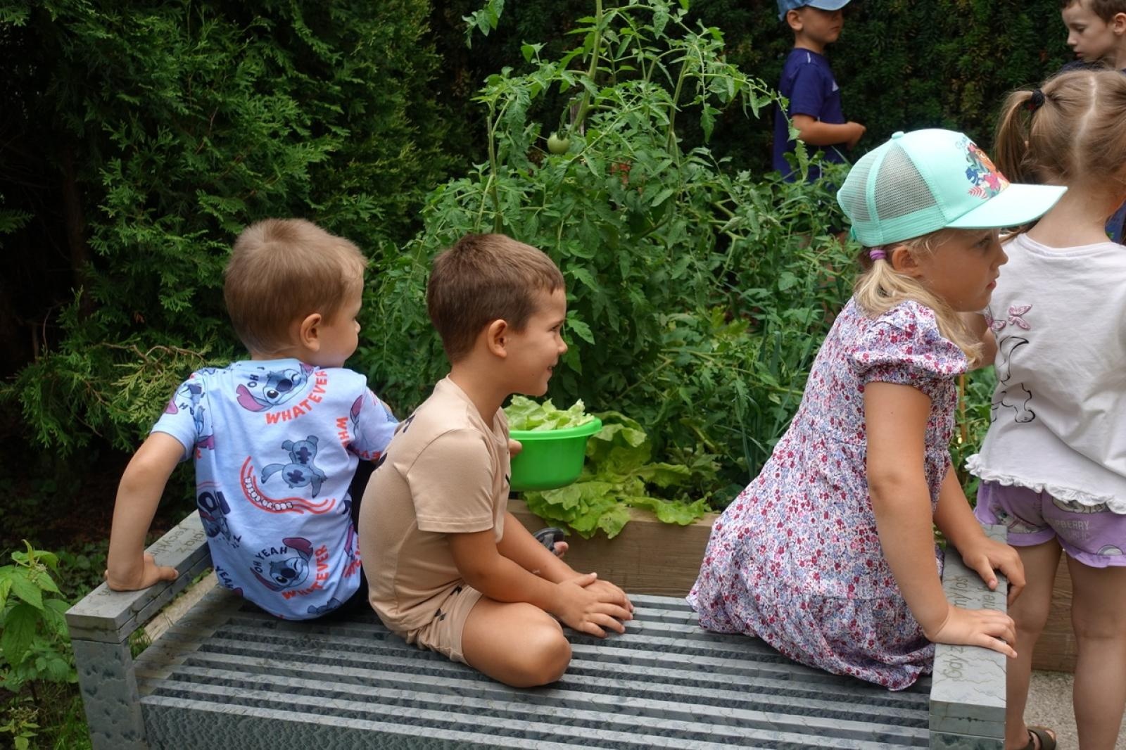 Zdjęcie w galerii na portalu naszraciborz.pl: Mali ogrodnicy dbają o swoje warzywniki i delektują się pierwszymi zbiorami wiadomości z regionu