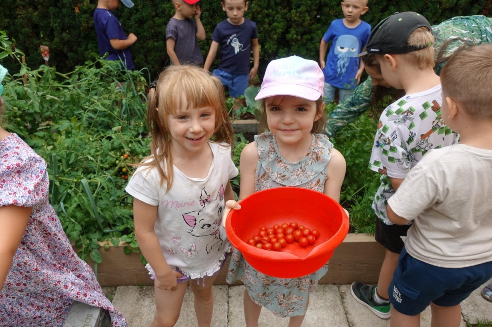 Zdjęcie w galerii na portalu naszraciborz.pl: Mali ogrodnicy dbają o swoje warzywniki i delektują się pierwszymi zbiorami wiadomości z regionu