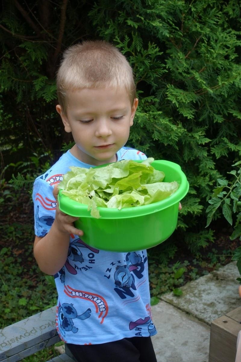 Zdjęcie w galerii na portalu naszraciborz.pl: Mali ogrodnicy dbają o swoje warzywniki i delektują się pierwszymi zbiorami wiadomości z regionu