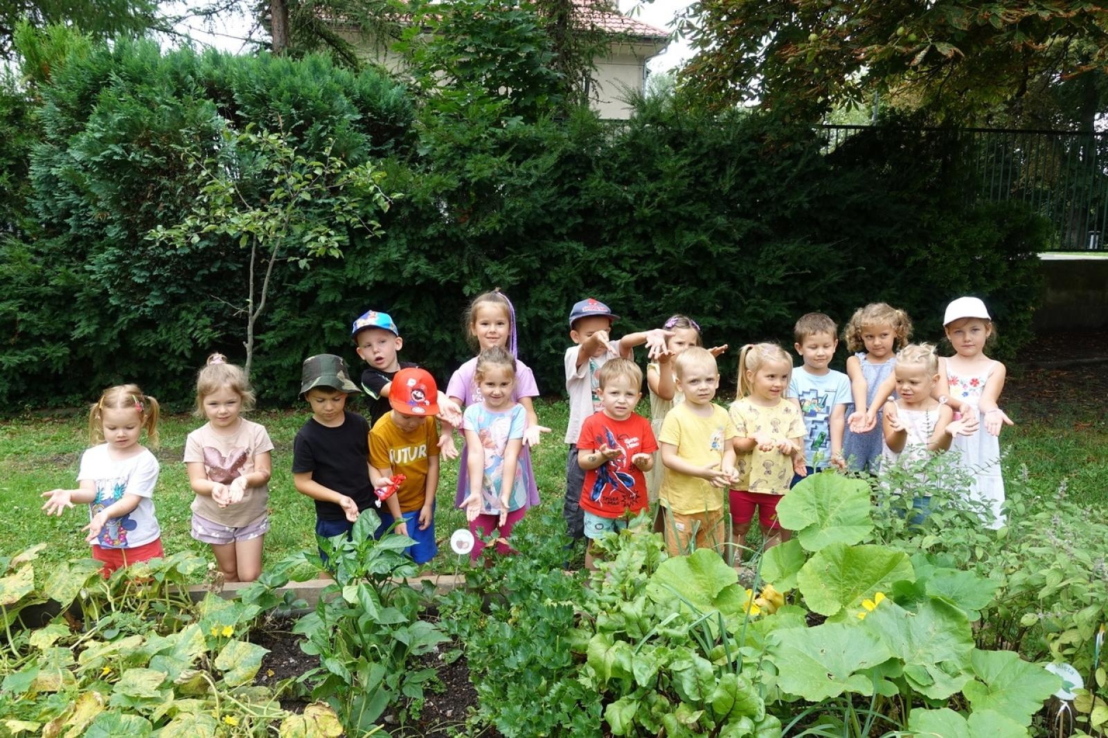 Zdjęcie w galerii na portalu naszraciborz.pl: Mali ogrodnicy dbają o swoje warzywniki i delektują się pierwszymi zbiorami wiadomości z regionu