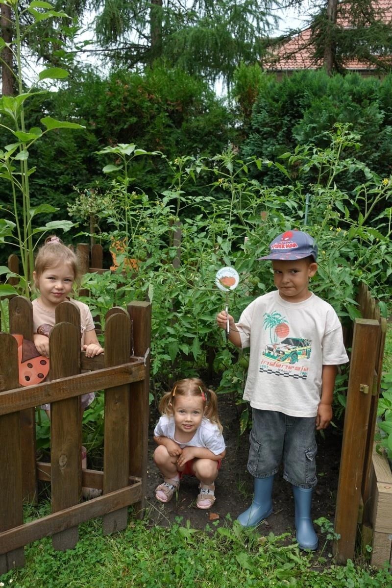 Zdjęcie w galerii na portalu naszraciborz.pl: Mali ogrodnicy dbają o swoje warzywniki i delektują się pierwszymi zbiorami wiadomości z regionu