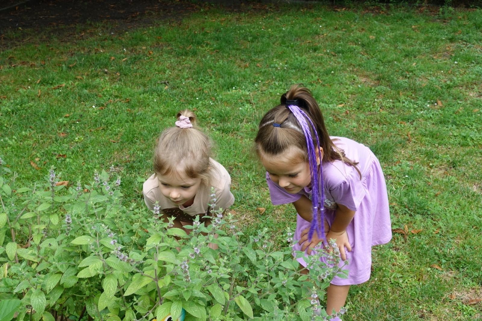 Zdjęcie w galerii na portalu naszraciborz.pl: Mali ogrodnicy dbają o swoje warzywniki i delektują się pierwszymi zbiorami wiadomości z regionu