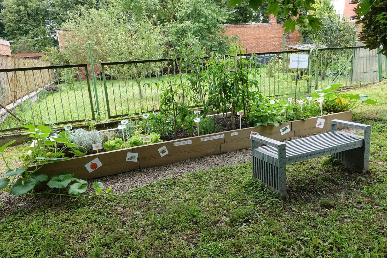 Zdjęcie w galerii na portalu naszraciborz.pl: Mali ogrodnicy dbają o swoje warzywniki i delektują się pierwszymi zbiorami wiadomości z regionu