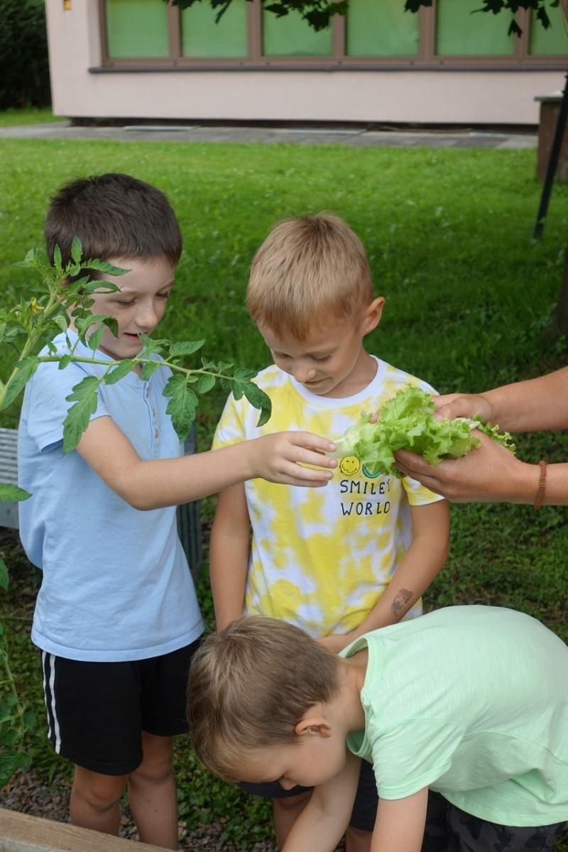 Zdjęcie w galerii na portalu naszraciborz.pl: Mali ogrodnicy dbają o swoje warzywniki i delektują się pierwszymi zbiorami wiadomości z regionu
