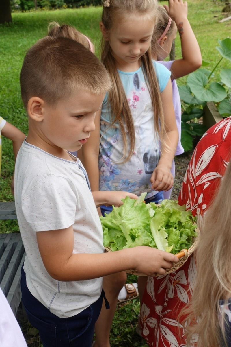 Zdjęcie w galerii na portalu naszraciborz.pl: Mali ogrodnicy dbają o swoje warzywniki i delektują się pierwszymi zbiorami wiadomości z regionu