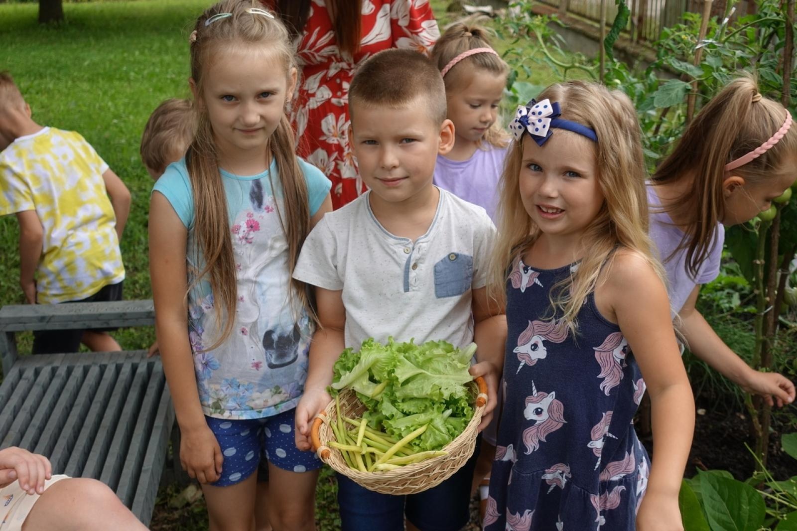 Zdjęcie w galerii na portalu naszraciborz.pl: Mali ogrodnicy dbają o swoje warzywniki i delektują się pierwszymi zbiorami wiadomości z regionu