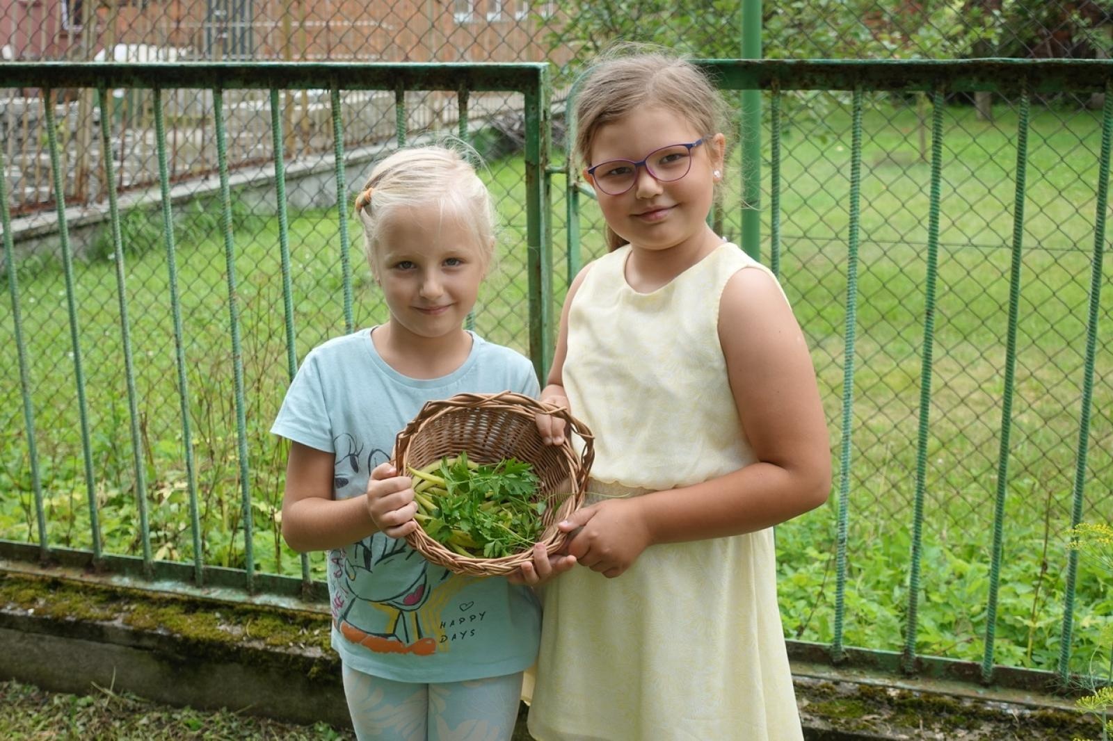 Zdjęcie w galerii na portalu naszraciborz.pl: Mali ogrodnicy dbają o swoje warzywniki i delektują się pierwszymi zbiorami wiadomości z regionu