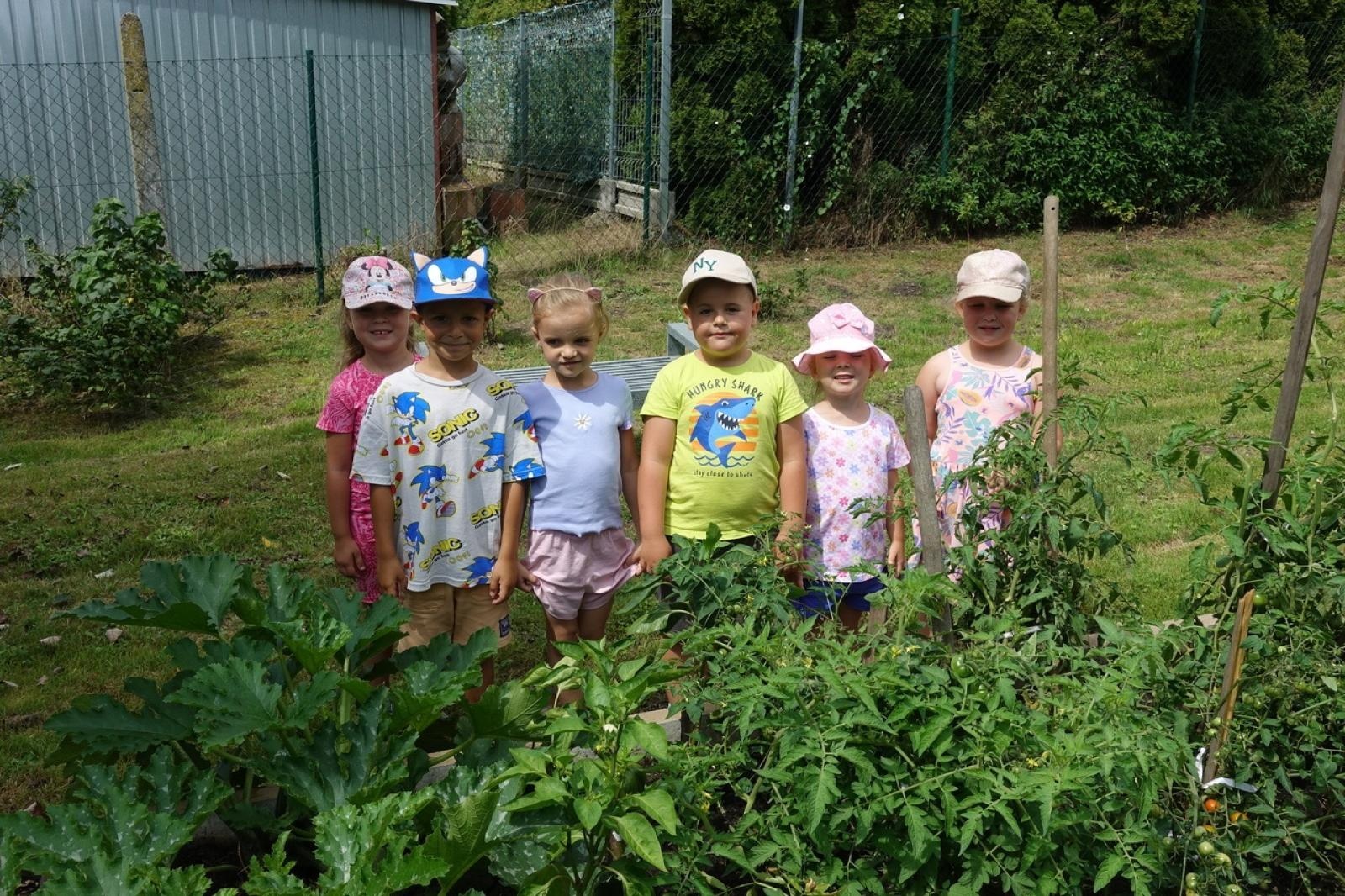 Zdjęcie w galerii na portalu naszraciborz.pl: Mali ogrodnicy dbają o swoje warzywniki i delektują się pierwszymi zbiorami wiadomości z regionu