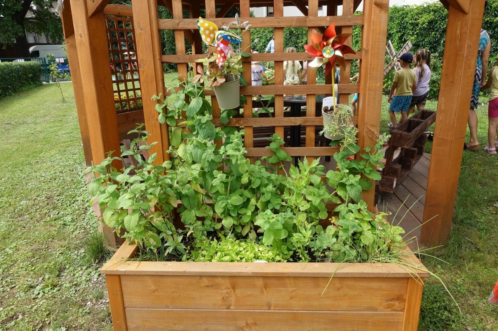 Zdjęcie w galerii na portalu naszraciborz.pl: Mali ogrodnicy dbają o swoje warzywniki i delektują się pierwszymi zbiorami wiadomości z regionu